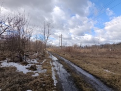 ������ �������� ������ ��������������������� ����������� ���� 6