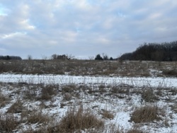 Продаж ділянки в Селищах фото 5 Продаж ділянки в Селищах фото 5