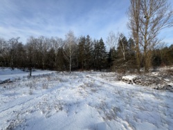 ������ �������� ������ � �. ������ � 20 ����� ��� ��� 🌲 ���� 3