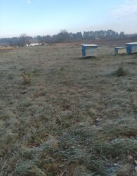 Продаж земельної ділянки сільськогосподарського призначення фото 3 Продаж земельної ділянки сільськогосподарського призначення фото 3