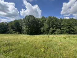 🌿 Продаж земельної ділянки 53 сотки | с. Лукашівка фото 7 🌿 Продаж земельної ділянки 53 сотки | с. Лукашівка фото 7