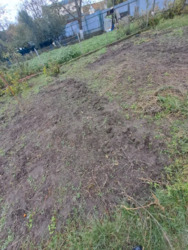 Терміновий продаж фото 4 Терміновий продаж фото 4