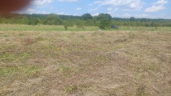 Продаж ділянки в Ксаверівці фото 3 Продаж ділянки в Ксаверівці фото 3