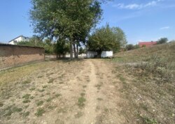 ������ �������� ���� �� ��������. ���� 16