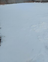 ������ �������� ������ �� ������� �������� ���� 5