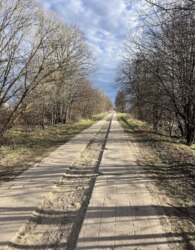 ������ �������� ������ �� ������� �������� ���� 6