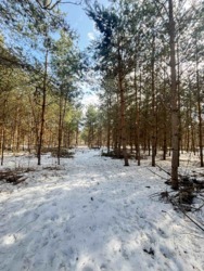 ������ �������� ������ ������ 4 ������� ��������������������� ����������� � ������� ������� ���� � �������� ���� 10