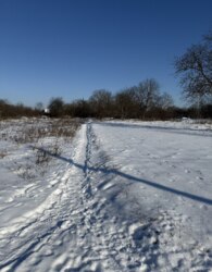 ������ �������� ������ �� ������� �������� �� ���. �������� ���� 1