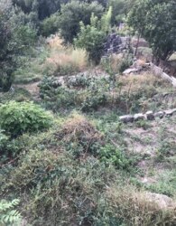 ������ �������� ������ �� ������� �������� ���� 7