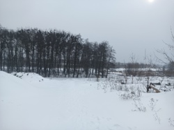 Продається ділянка Єсєніна, Вінниця, Вінницька, Передмістя, Стрижавка фото 10 Продається ділянка Єсєніна, Вінниця, Вінницька, Передмістя, Стрижавка фото 10