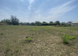 ������ �������� ���� �� ��������. ���� 6