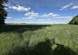 Продаж ділянки комерційного призначення! фото 9 Продаж ділянки комерційного призначення! фото 9