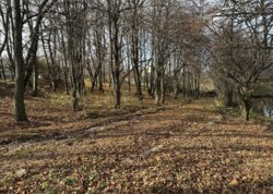 ������ �������� ������ �� ������� �������� ���� 2