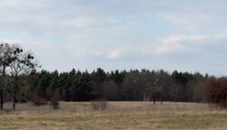 �������� ������ 8 ����� �� ����� ���� ϳ������� ���. ���� 7