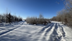 🌿 ������ �������� ������ 10 ����� ������� � �������� ���� ��� ����� �� ����������! ���� 10