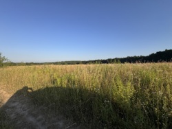 Ділянка Зарванці фото 2 Ділянка Зарванці фото 2