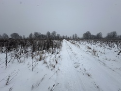 Продається ділянка Карʼєрна, Вінниця, Вінницька, Передмістя, Якушинці фото 2 Продається ділянка Карʼєрна, Вінниця, Вінницька, Передмістя, Якушинці фото 2
