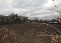 Продаж земельної ділянки під житлову забудову на вул. Миру, площа 25 соток фото 13 Продаж земельної ділянки під житлову забудову на вул. Миру, площа 25 соток фото 13