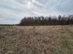 ������ ������ ��� ��� ���� 4