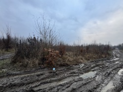 🌿 ������ �������� ������ 10 ����� ������� � �������� ���� ��� ����� �� ����������! ���� 3