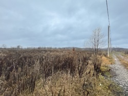 Ділянка в Якушинцях фото 3 Ділянка в Якушинцях фото 3