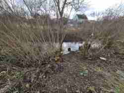 ĳ����� ��� ����������� ����� 12 ���. ���� 6