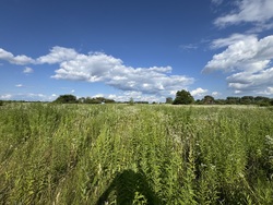 🌿 Продаж земельної ділянки в перспективному масиві, що активно розвивається! фото 4 🌿 Продаж земельної ділянки в перспективному масиві, що активно розвивається! фото 4