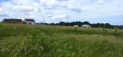   10   1