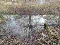 ĳ����� ��� ����������� ����� 12 ���. ���� 3