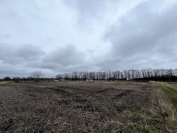 Продаж земельної ділянки вул. Сонячна фото 5 Продаж земельної ділянки вул. Сонячна фото 5