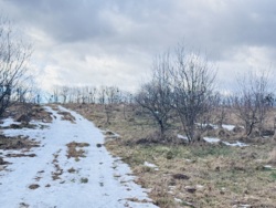 ĳ����� �������� ���� 6