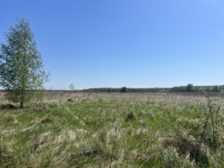 Ділянка в мальовничому місці фото 3 Ділянка в мальовничому місці фото 3