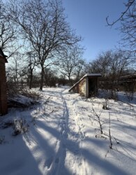 ������ �������� ������ �� ������� �������� �� ���. ������� ������������� ���� 11