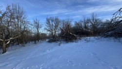 🏡 ������ �������� ������ �� ������� �������� � 29,33 ����� ���� 3