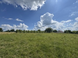 🌿 Продаж земельної ділянки 53 сотки | с. Лукашівка фото 9 🌿 Продаж земельної ділянки 53 сотки | с. Лукашівка фото 9
