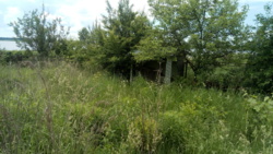 �������� �������� ������ � ������� ���������� ������. ���� 7