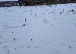 ������ �������� ������ �� ������� �������� �� ���. ������� ������������� ���� 2