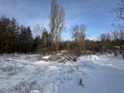 ������ �������� ������ � �. ������ � 20 ����� ��� ��� 🌲 ���� 4