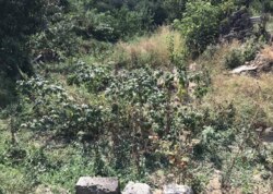 ������ �������� ������ �� ������� �������� ���� 13