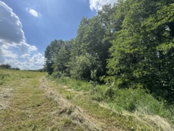 🌿 Продаж земельної ділянки 53 сотки | с. Лукашівка фото 5 🌿 Продаж земельної ділянки 53 сотки | с. Лукашівка фото 5