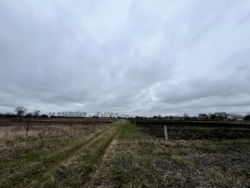 Продаж земельної ділянки вул. Сонячна фото 3 Продаж земельної ділянки вул. Сонячна фото 3