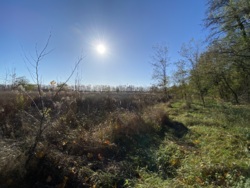 Продається земельна ділянка чудове місце для відпочинку або будівництва будинку вашої мрії! фото 4 Продається земельна ділянка чудове місце для відпочинку або будівництва будинку вашої мрії! фото 4