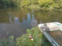 Продам земельний участок на березі річки. фото 8 Продам земельний участок на березі річки. фото 8