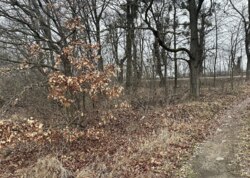 ������ �������� ������ ��������������������� ����������� ���� 3