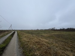 ������ �������� ������ �� ������� �������� ���� 6