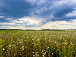 Продаж ділянки Якушинці фото 1 Продаж ділянки Якушинці фото 1