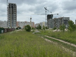 Продаж ділянки 46 сот на Вишеньці фото 2 Продаж ділянки 46 сот на Вишеньці фото 2