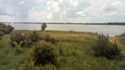 �������� �������� ������ � ������� ���������� ������. ���� 1