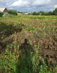 Продаж земельної ділянки під забудову фото 4 Продаж земельної ділянки під забудову фото 4