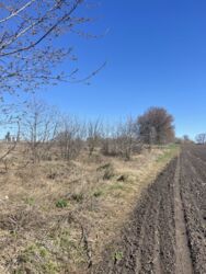 �������� ������ � ��������� ���� 2